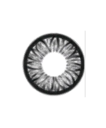 GEO FLOWER SUNFLOWER GRAY WFL-A25 GRAY CONTACT LENS