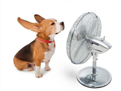 FAN AIR CONDITIONER AND SUMMER HEAT